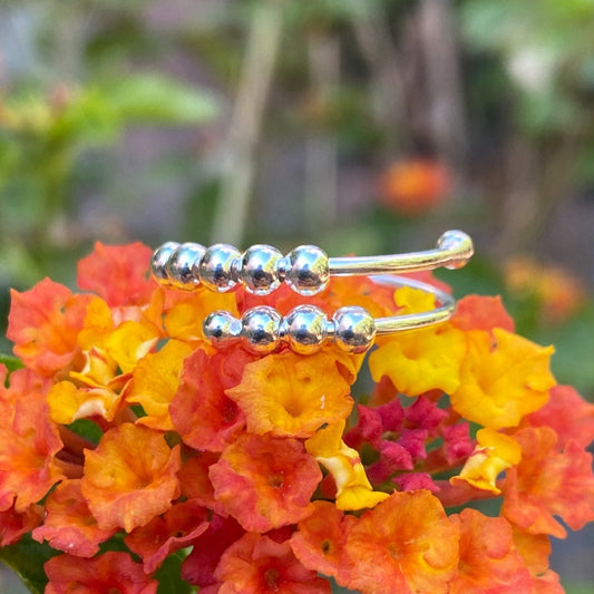 Sterling Silver Fidget Ring